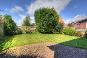 Photo 7- click for photo gallery